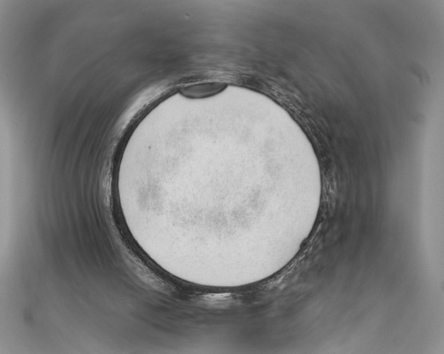 X0000111390054200908071304