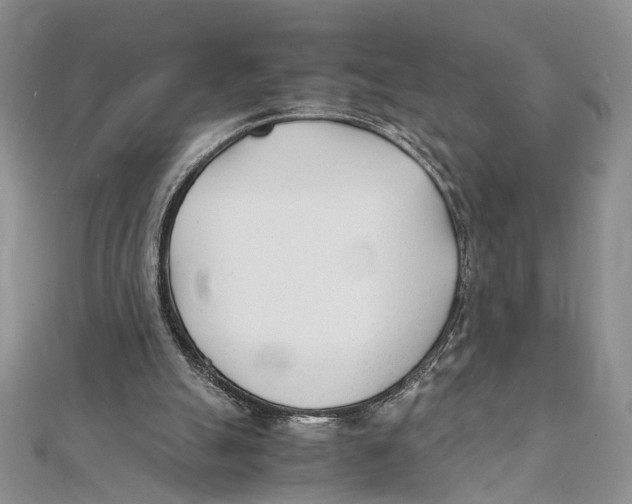 X0000111390055200908071304
