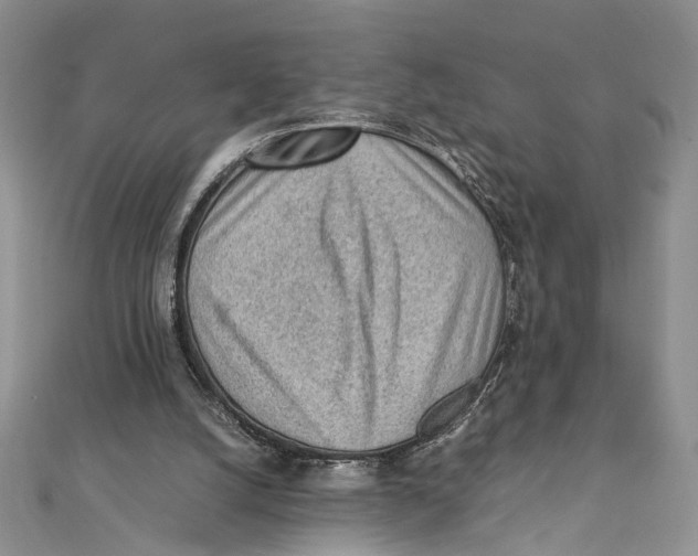 X0000111390056200908071304