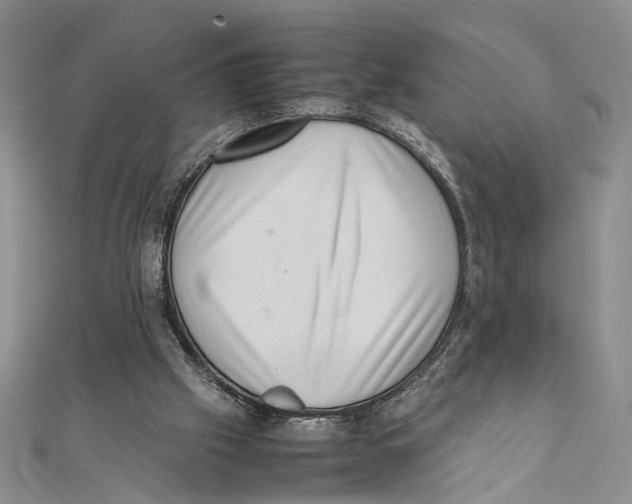 X0000111390057200908071305