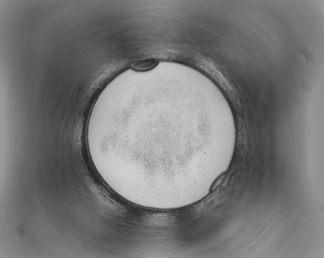X0000111390058200908071305