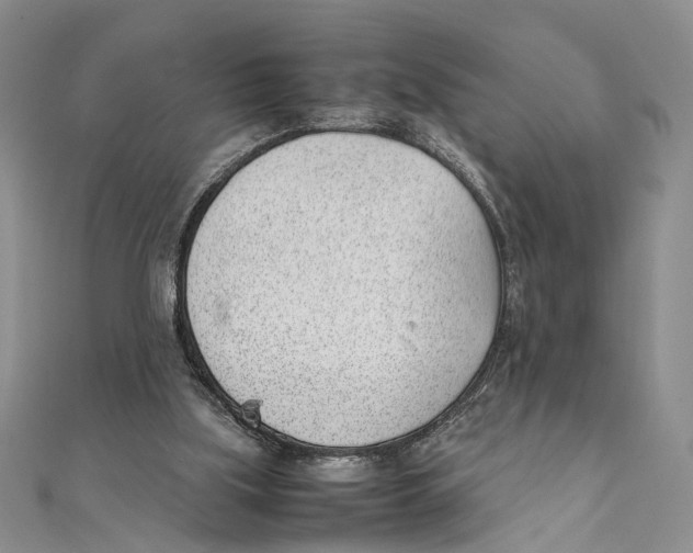 X0000111390059200908071305