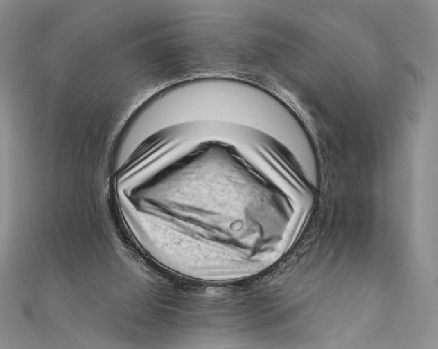X0000111390060200908071305