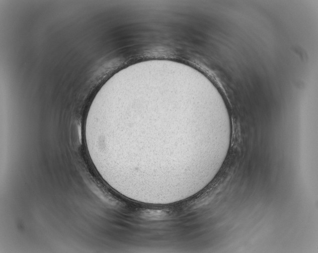X0000111390061200908071305