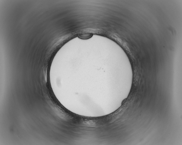 X0000111390062200908071305