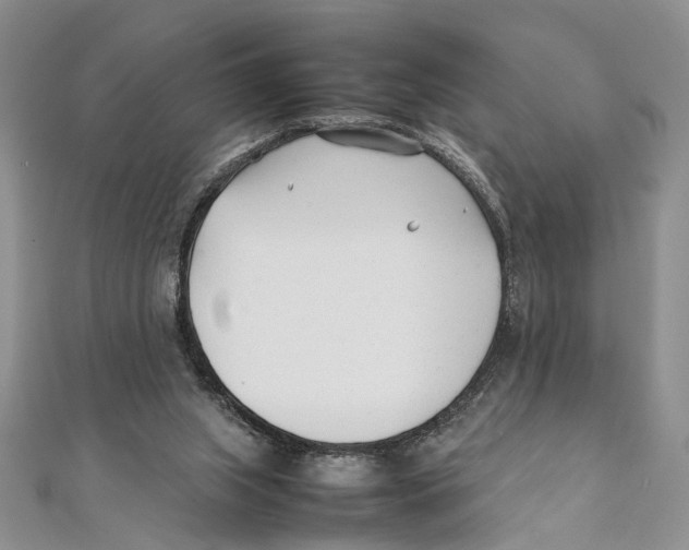 X0000111390063200908071305