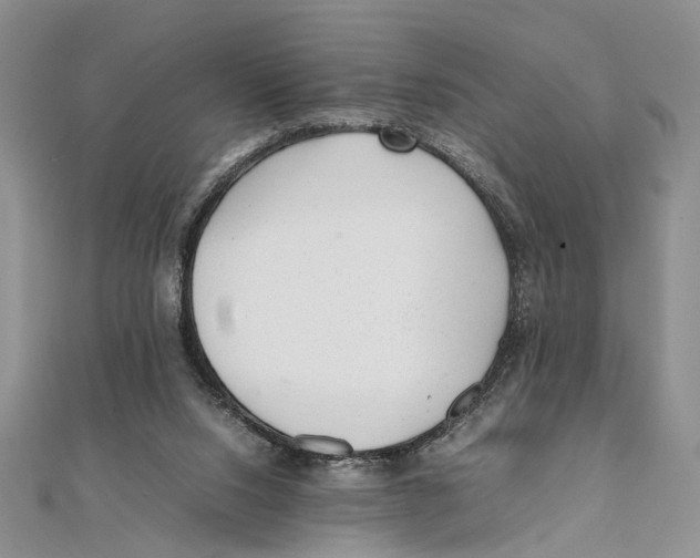 X0000111390064200908071305