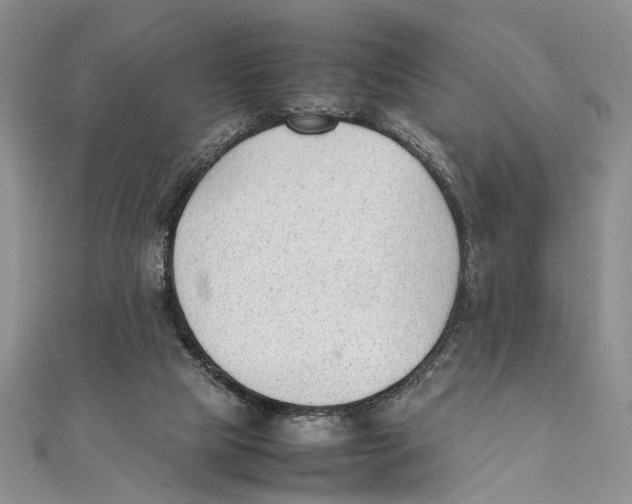 X0000111390065200908071305
