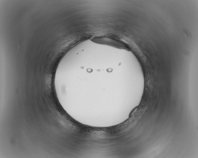 X0000111390066200908071305