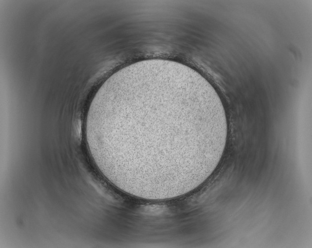 X0000111390067200908071305