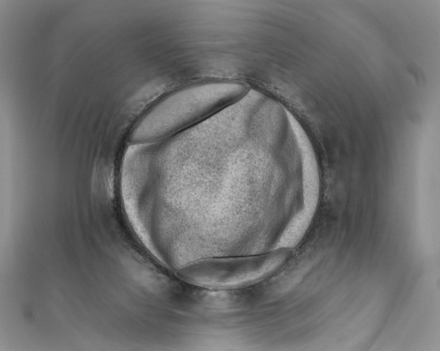 X0000111390068200908071305