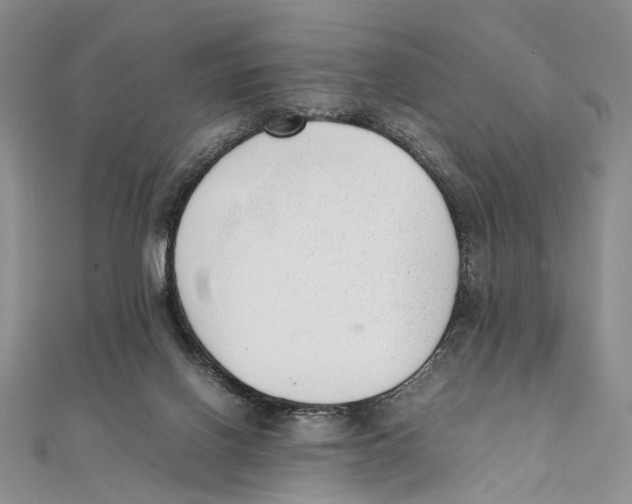 X0000111390070200908071305