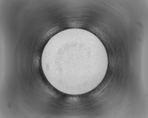 X0000111390071200908071305