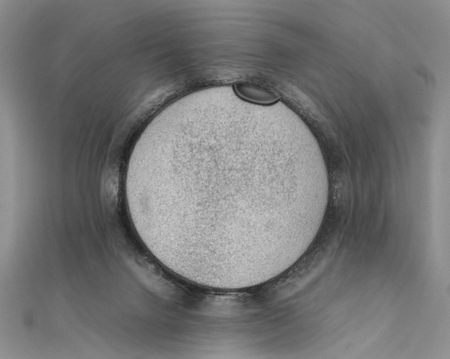 X0000111390072200908071305