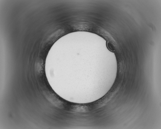 X0000111390073200908071305