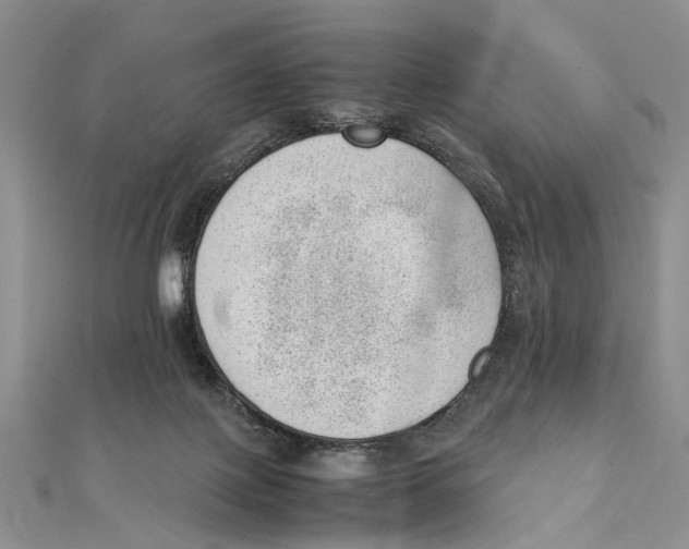 X0000111390075200908071305