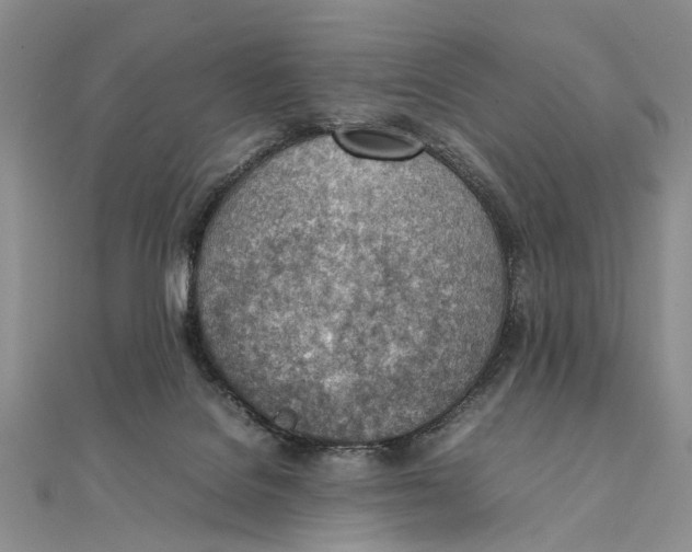X0000111390076200908071305