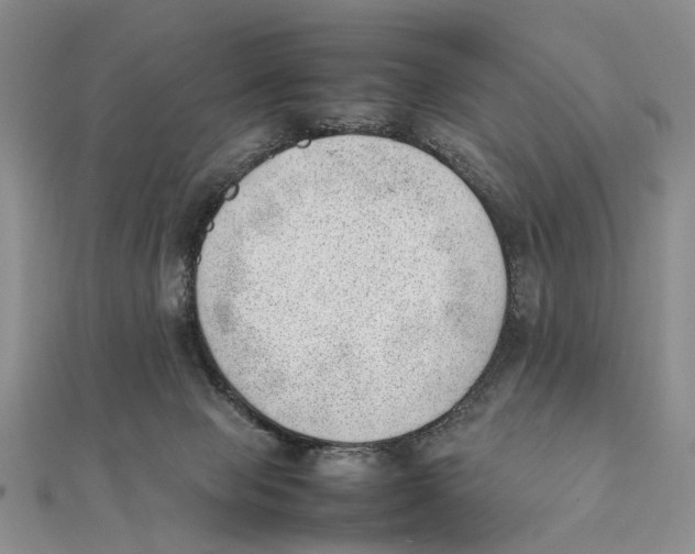 X0000111390077200908071305