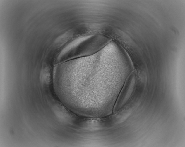 X0000111390080200908071305