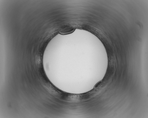 X0000111390084200908071305