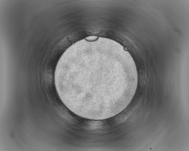 X0000111390085200908071305