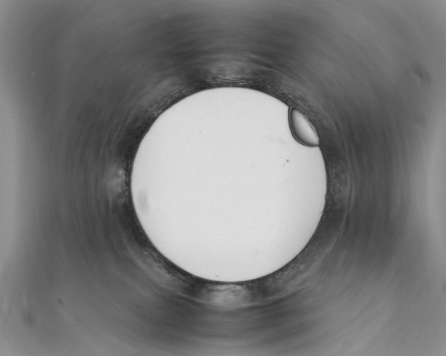 X0000111390087200908071305
