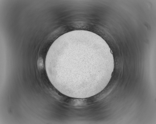 X0000111390089200908071305