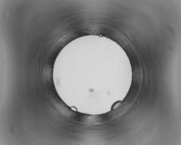 X0000111390092200908071305
