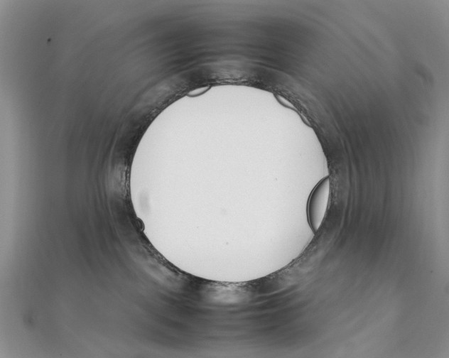 X0000111390093200908071305