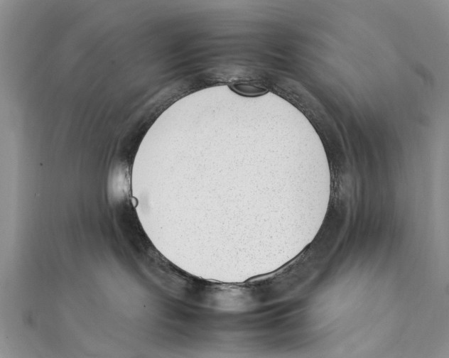 X0000111390095200908071305