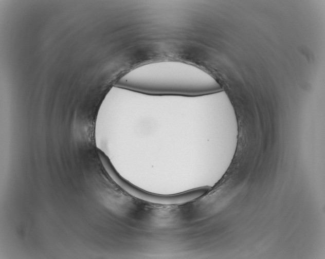 X0000111390096200908071305