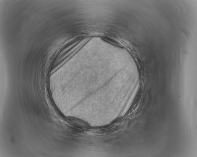 X0000111390097200908071304