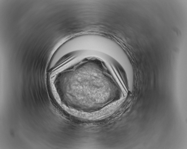 X0000111390100200908071304