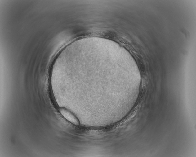 X0000111390101200908071304