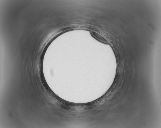 X0000111390103200908071304