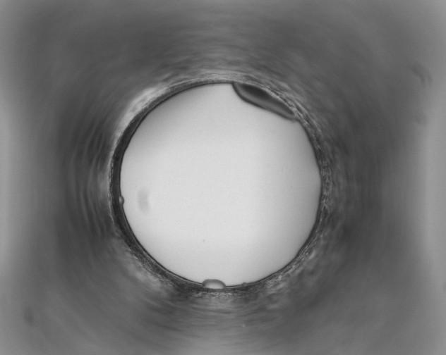 X0000111390104200908071304