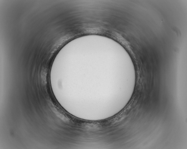 X0000111390106200908071304