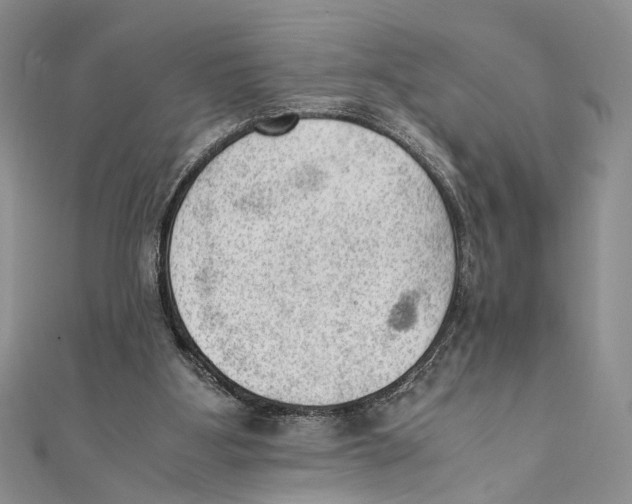 X0000111390107200908071304