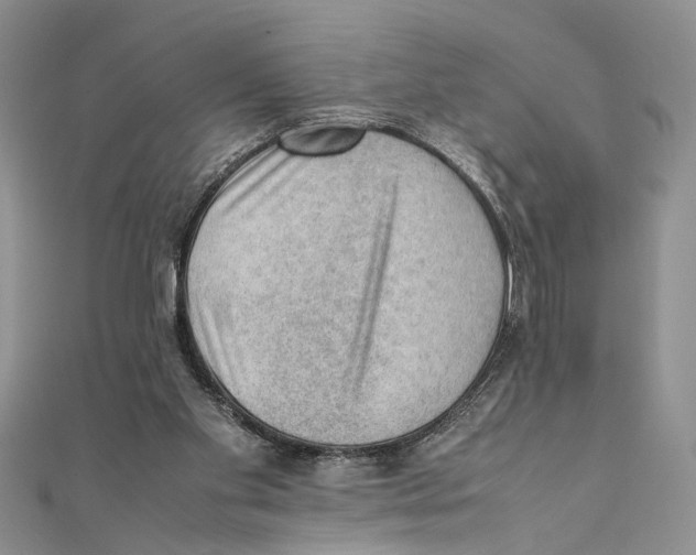 X0000111390109200908071304