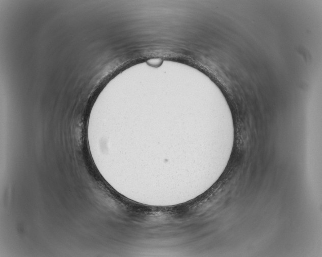 X0000111390111200908071304