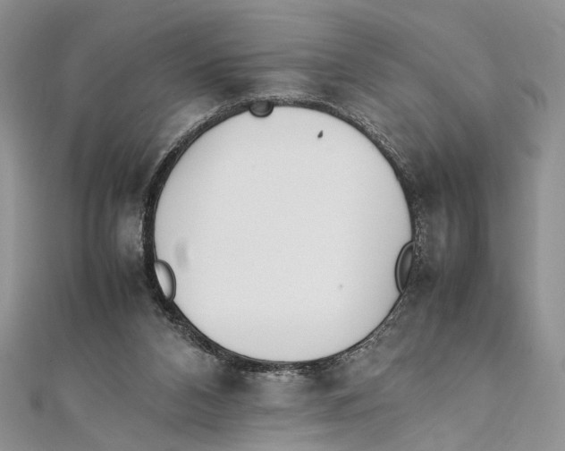 X0000111390112200908071304