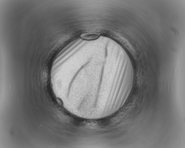 X0000111390113200908071304