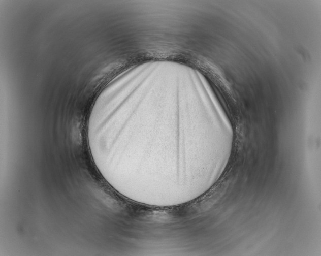 X0000111390114200908071304