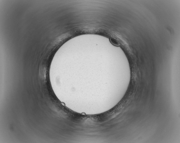 X0000111390115200908071304