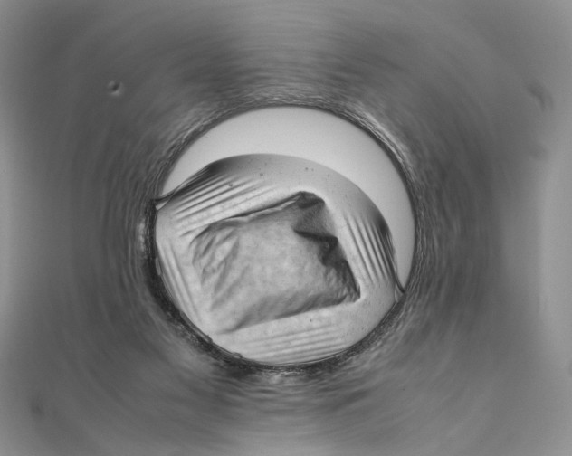X0000111390117200908071304