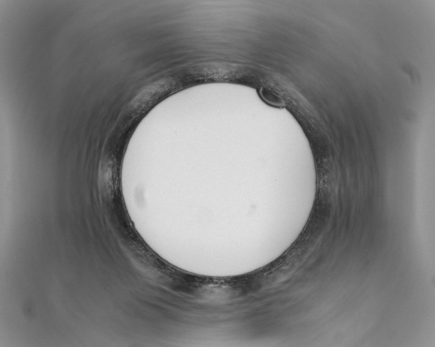 X0000111390119200908071304