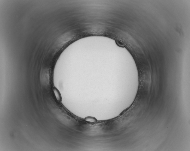 X0000111390120200908071304