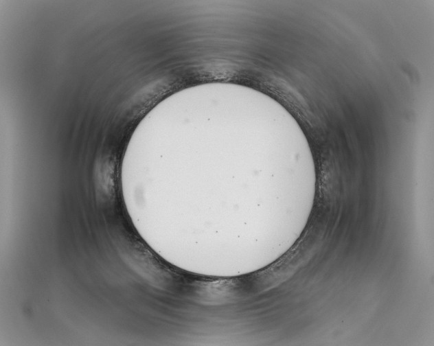 X0000111390122200908071304