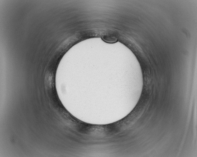 X0000111390123200908071304