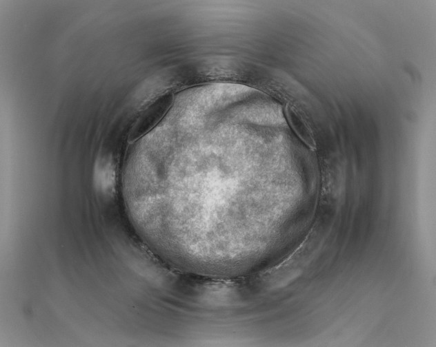 X0000111390124200908071304